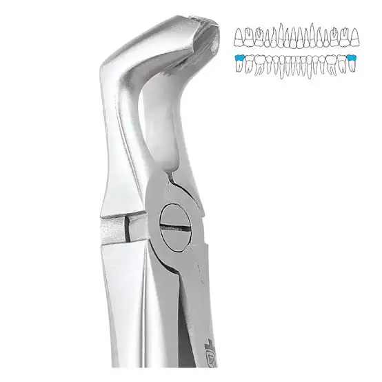  Extraction Forcep Lower Third Molars 