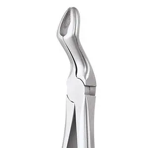  Upper Third Molar Extraction Forceps 